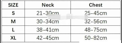 Drippy Leash and Harness Set – Luxury Streetwear Walking Set for Dogs