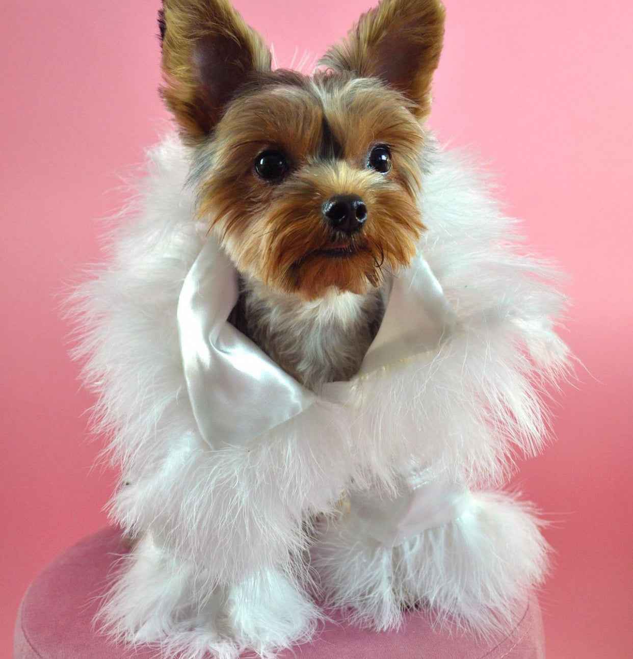 Garcelle Dog Robe – White Feather Luxury Outfit for Dogs