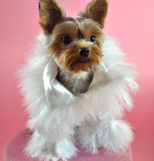 Garcelle Dog Robe – White Feather Luxury Outfit for Dogs