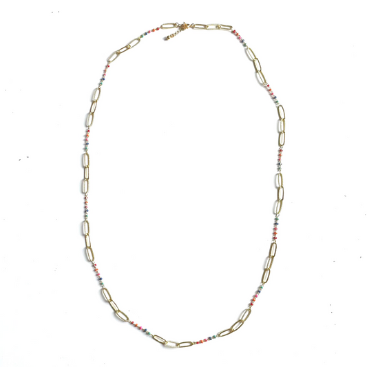 Long Chainlink Necklace with Enamel
