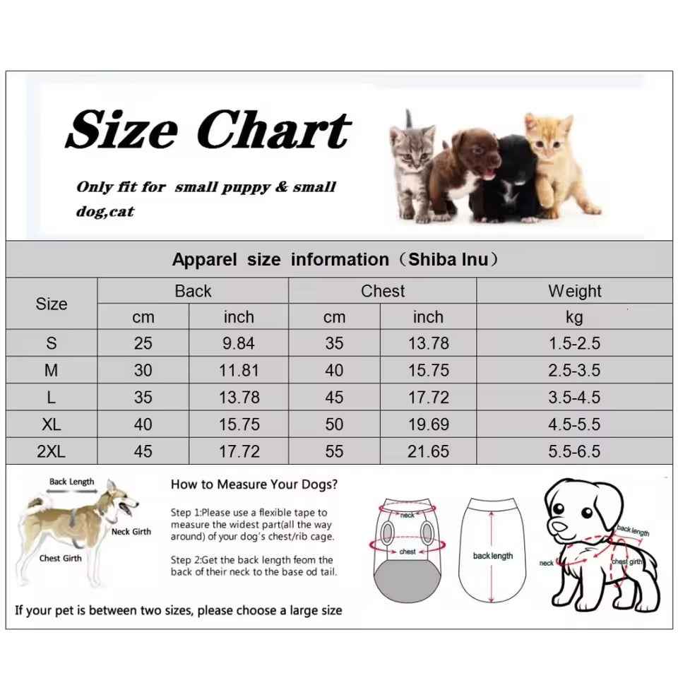Sapphire Crown Name Dog Collar | Customized Dog Collar
