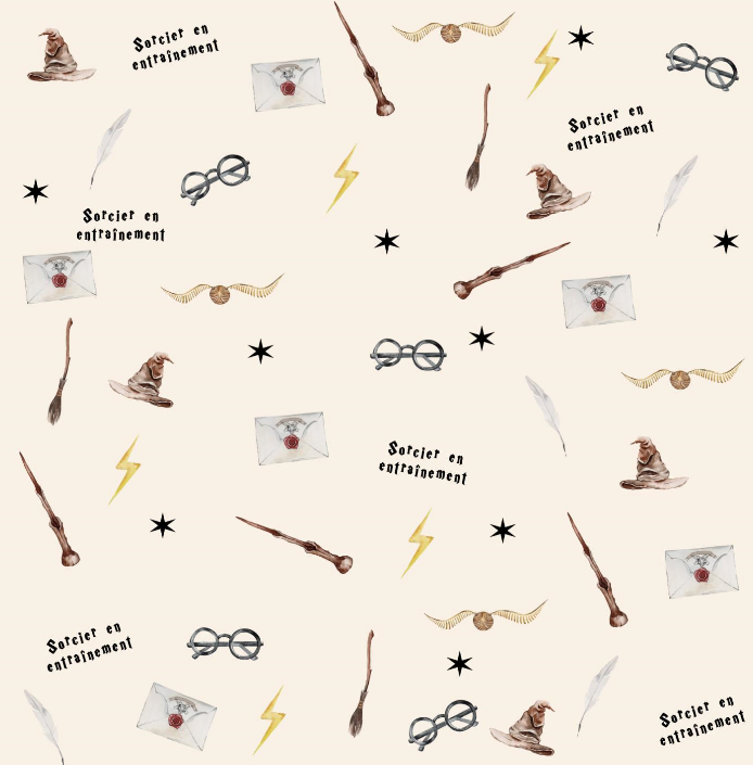 Couverture minky sorcier ⚡️ géante