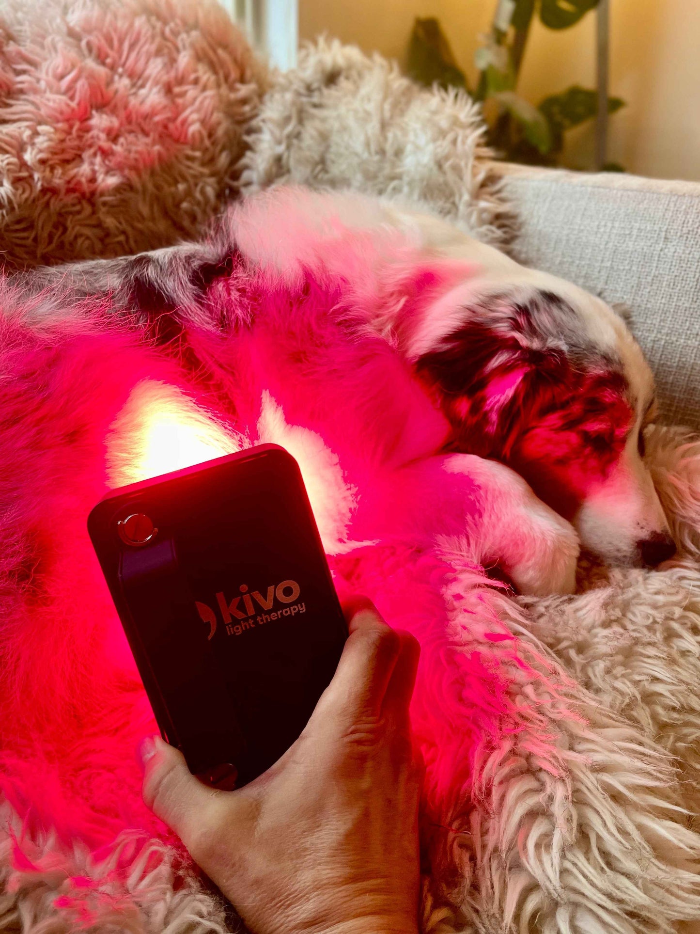 Kivo MINI Series