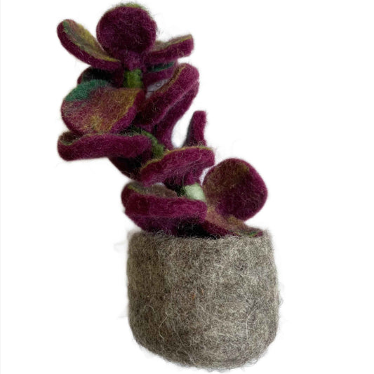 Felt Purple Plant