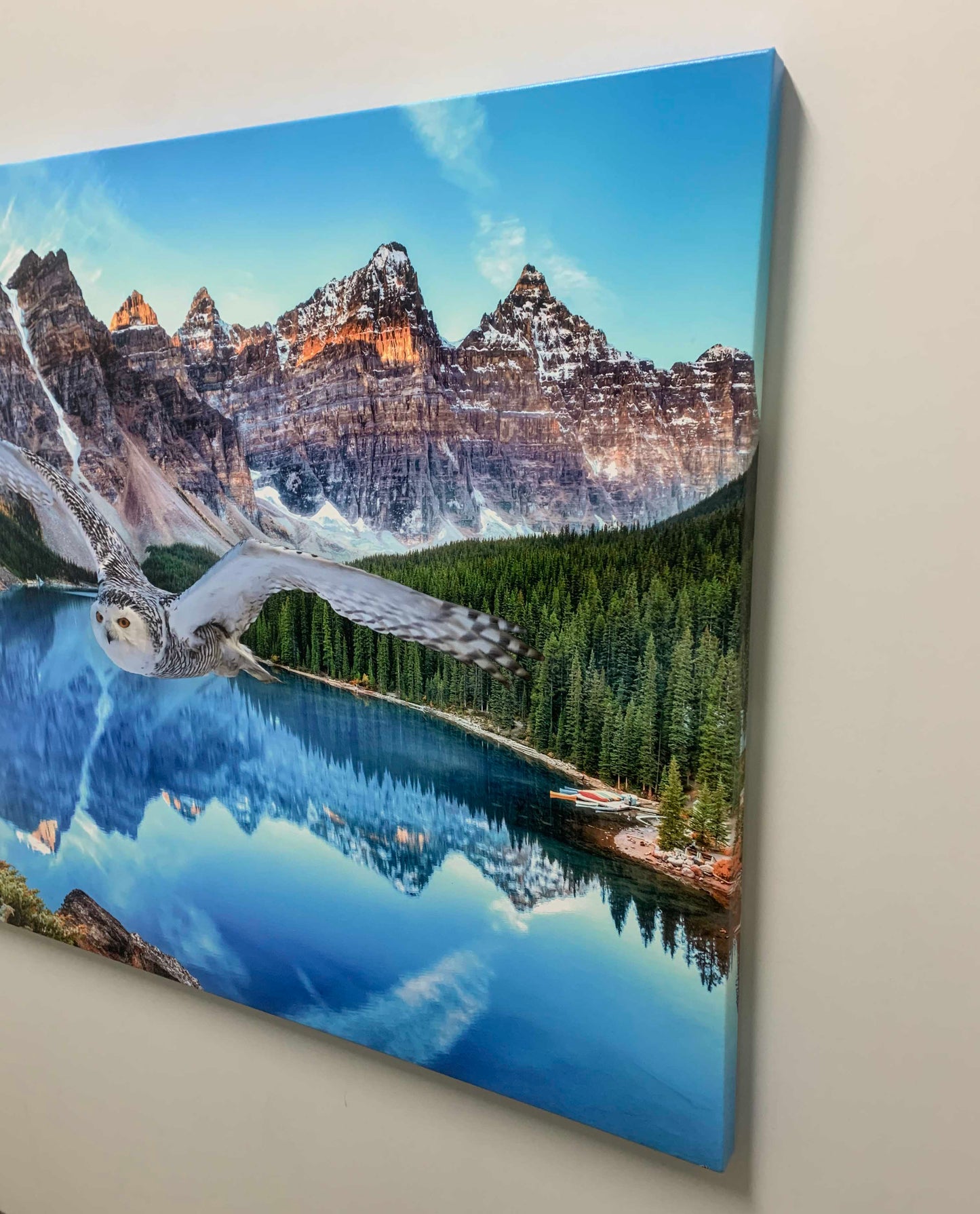 Leinwand-Tierkunst – Schneeeule bei Banff – Gedrucktes Kunstwerk