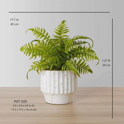 Kuwu Potted Faux Fern