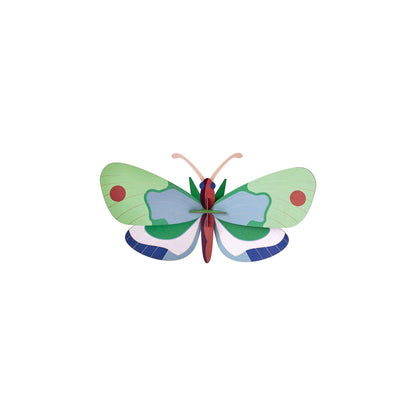 Minz-Wald-Schmetterling