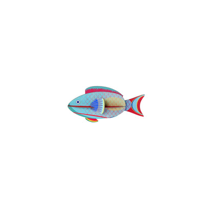 Papageifische