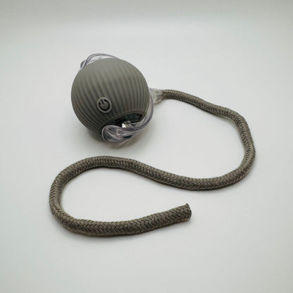 Pet Vibrating Bouncing Ball Toy with Tail