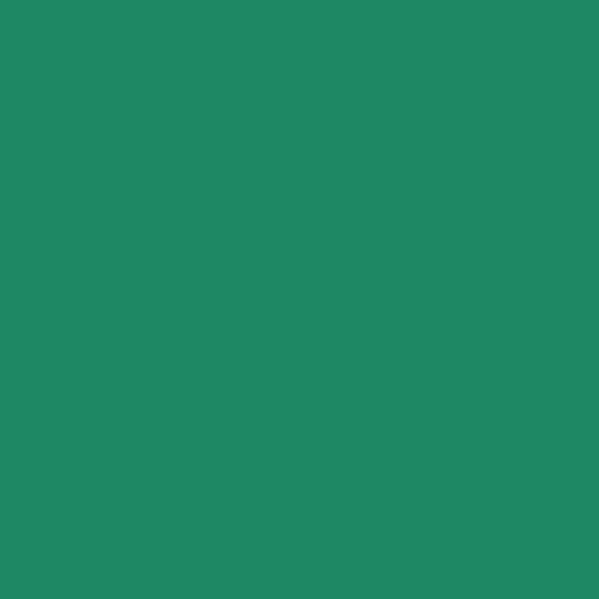 Siser Caddet Green Easyweed  12"sheets and rolls