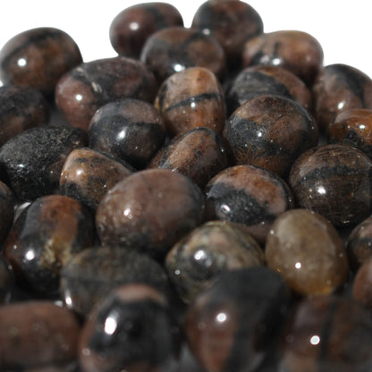 Chiastolite Tumbled Stones