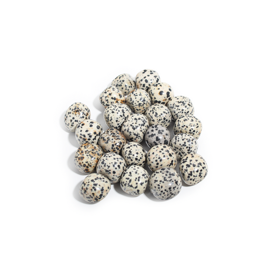 Dalmatian Jasper Tumbled Stones