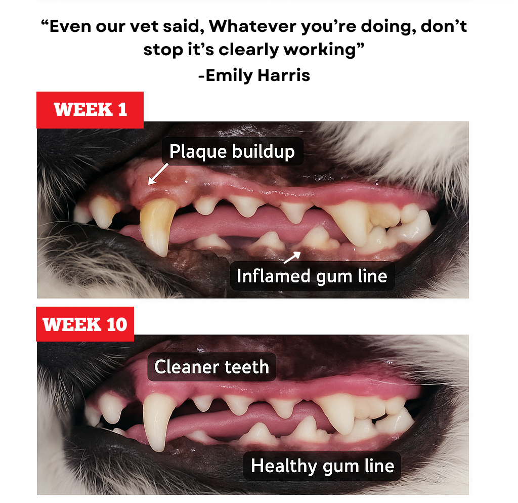 Mint Himalayan Yak Chew (MEDIUM)
