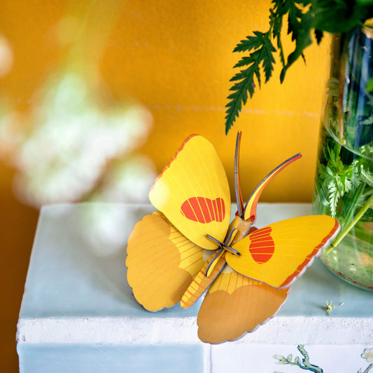 Gelber Schmetterling