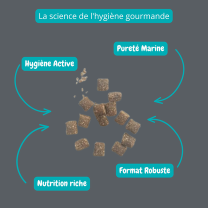 Gâteries d'entraînement