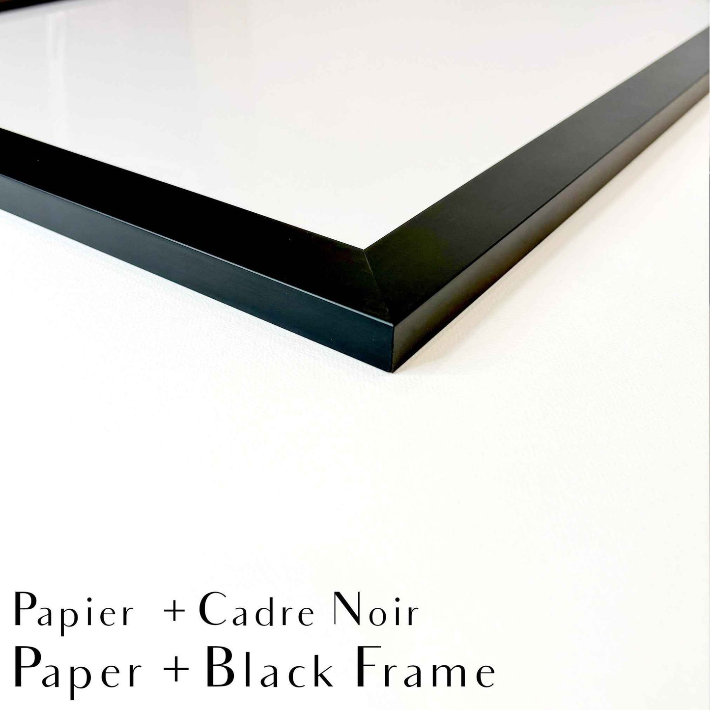 Baby Beaver - wildlife art print