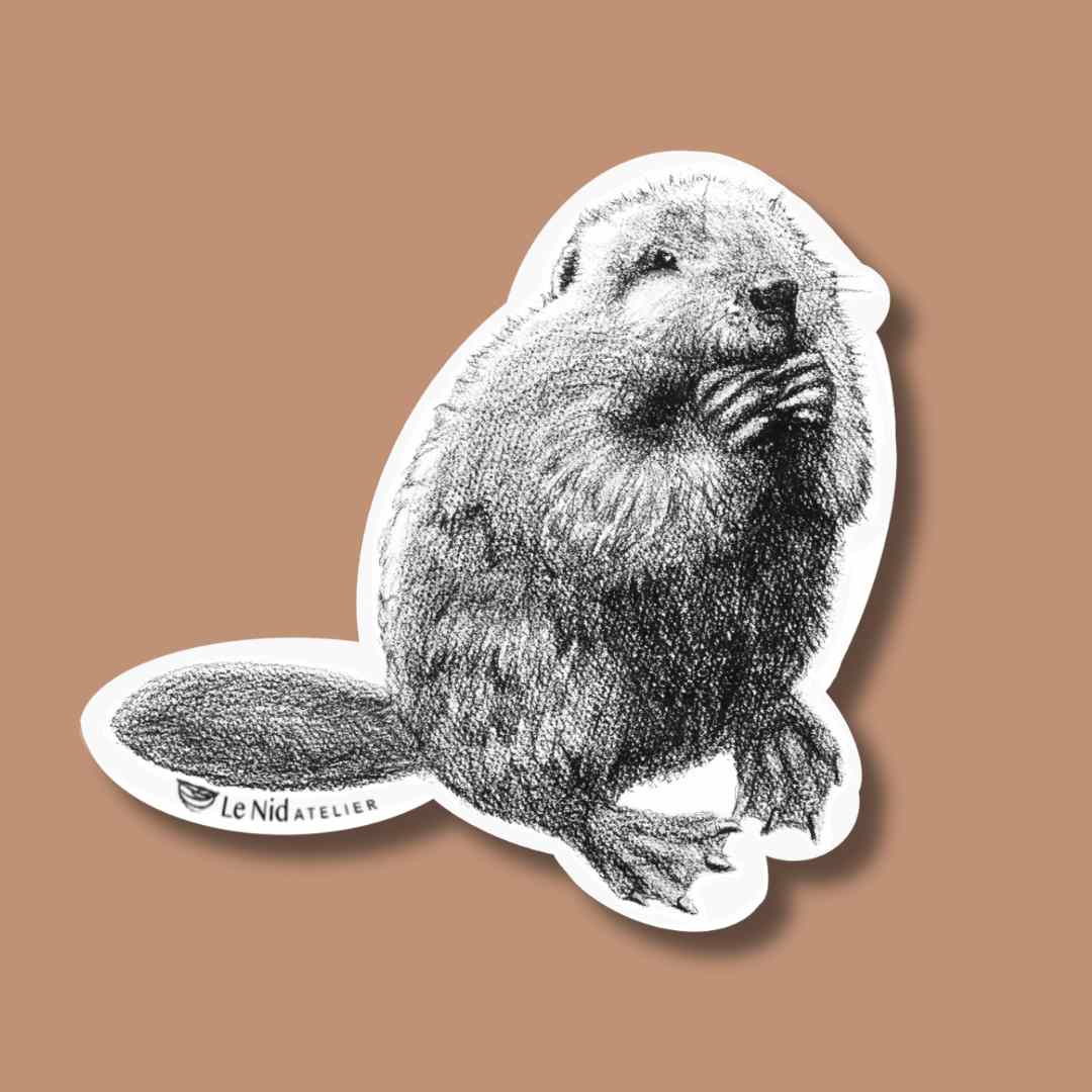 Biber-Sticker für Wasserflasche, Terminkalender oder Computer