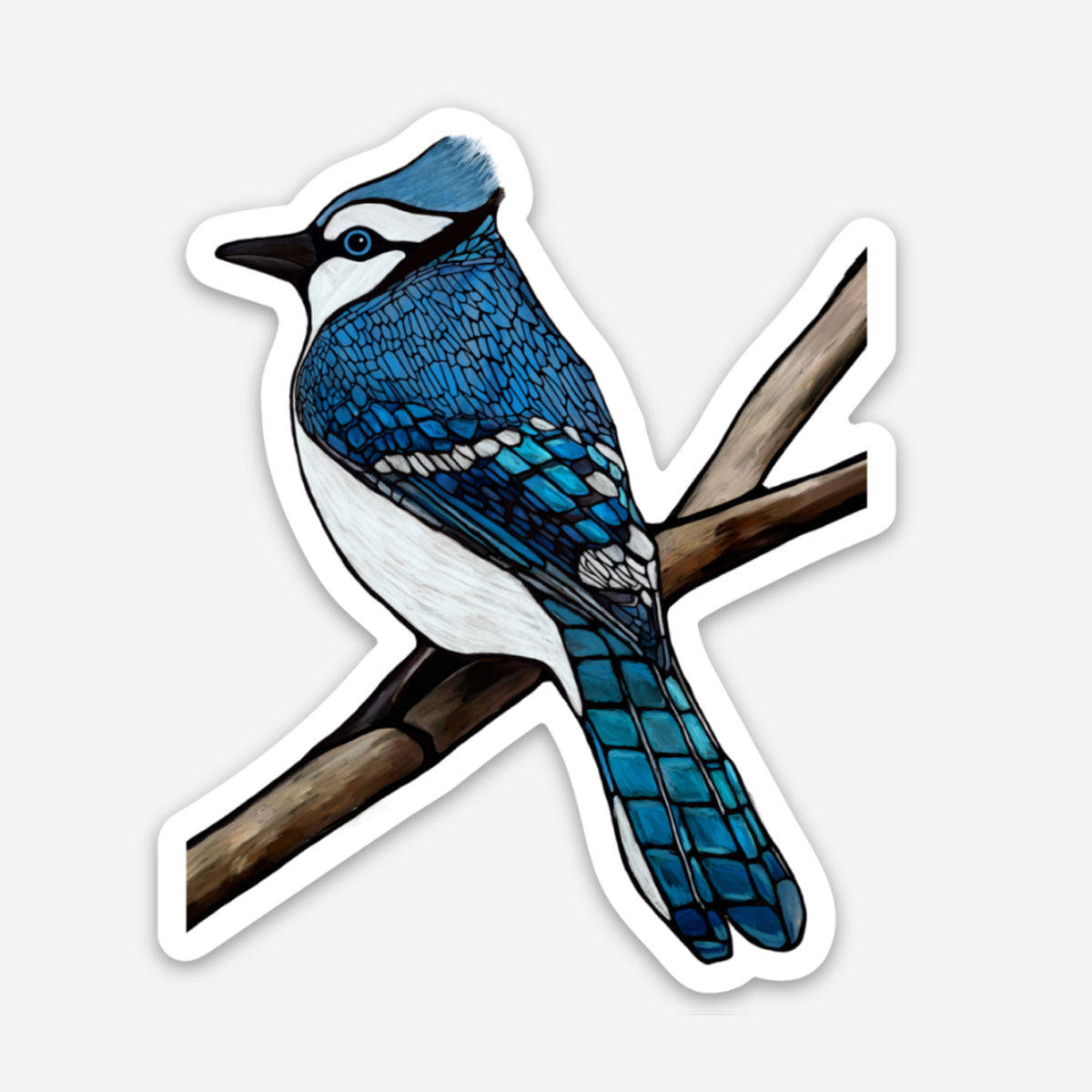 Vinyl-Aufkleber – Blauhäher