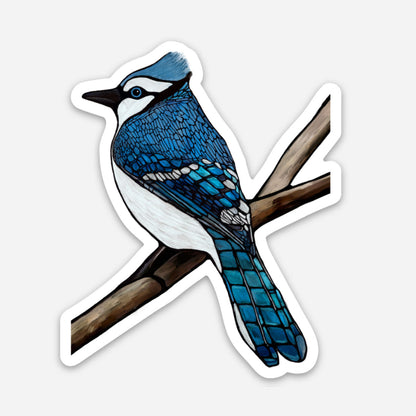 Vinyl-Aufkleber – Blauhäher