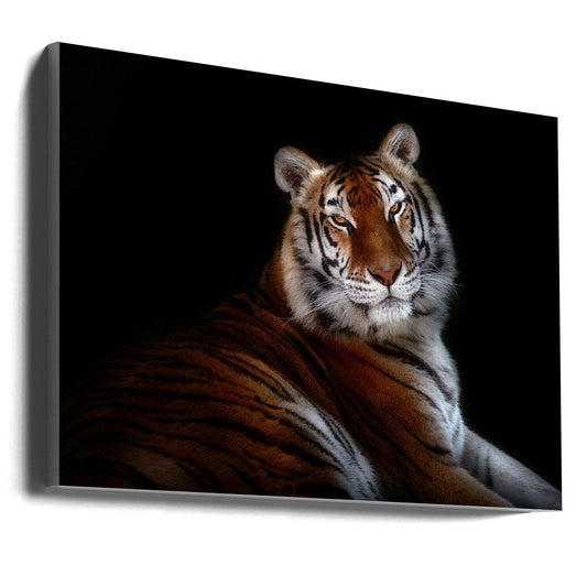 Wandbild Serenity