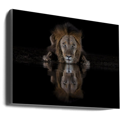 Wall art A Lion at The Night