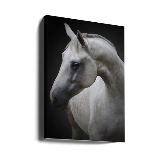 Wandkunst Maggie. Pferd