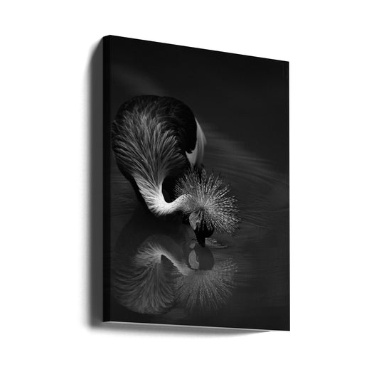 Wandkunst Die Reflexion