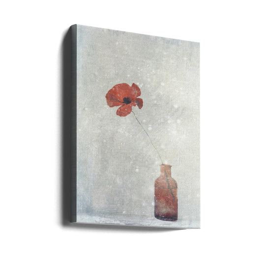 Wandbild Wintermohn