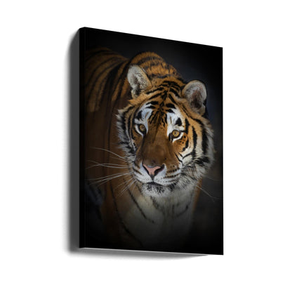 Wandbild Portrait eines Sibirischen Tigers