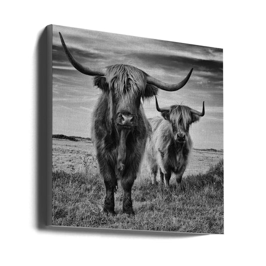 Wandbilder Highlands