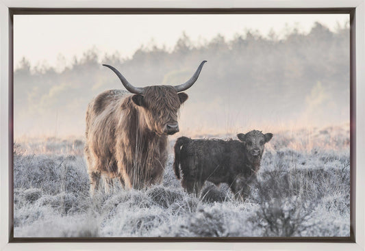 Wandbild Highland-Rind und Kalb