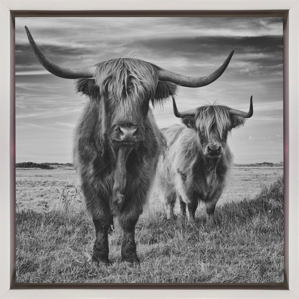Wall Art Highlands