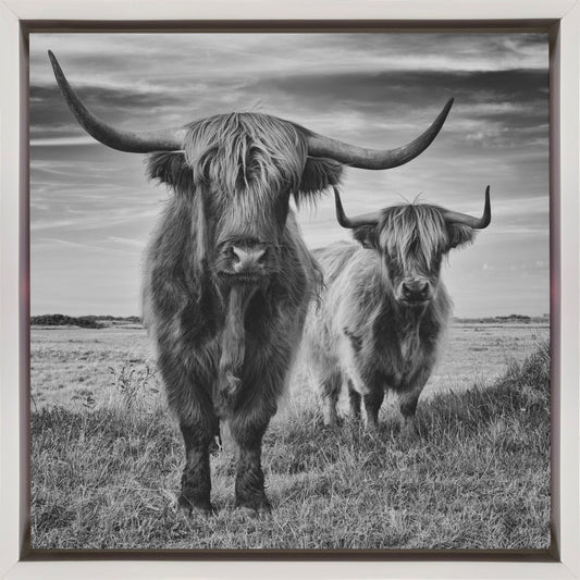 Wandbilder Highlands