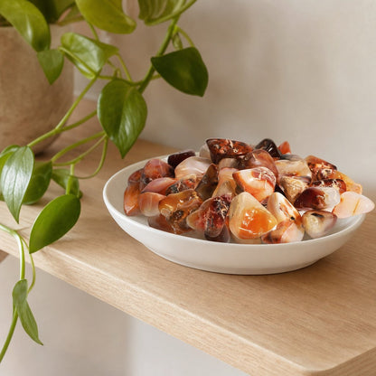Carnelian E Tumbled Stones - Brazil