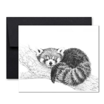 Complete Zoo Greeting Card Collection
