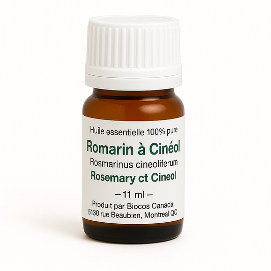 Romarin à Cinéol