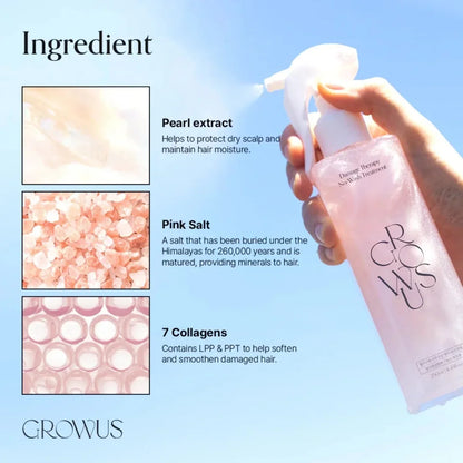 GROWUS Damage Therapy No-wash Treatment 250g