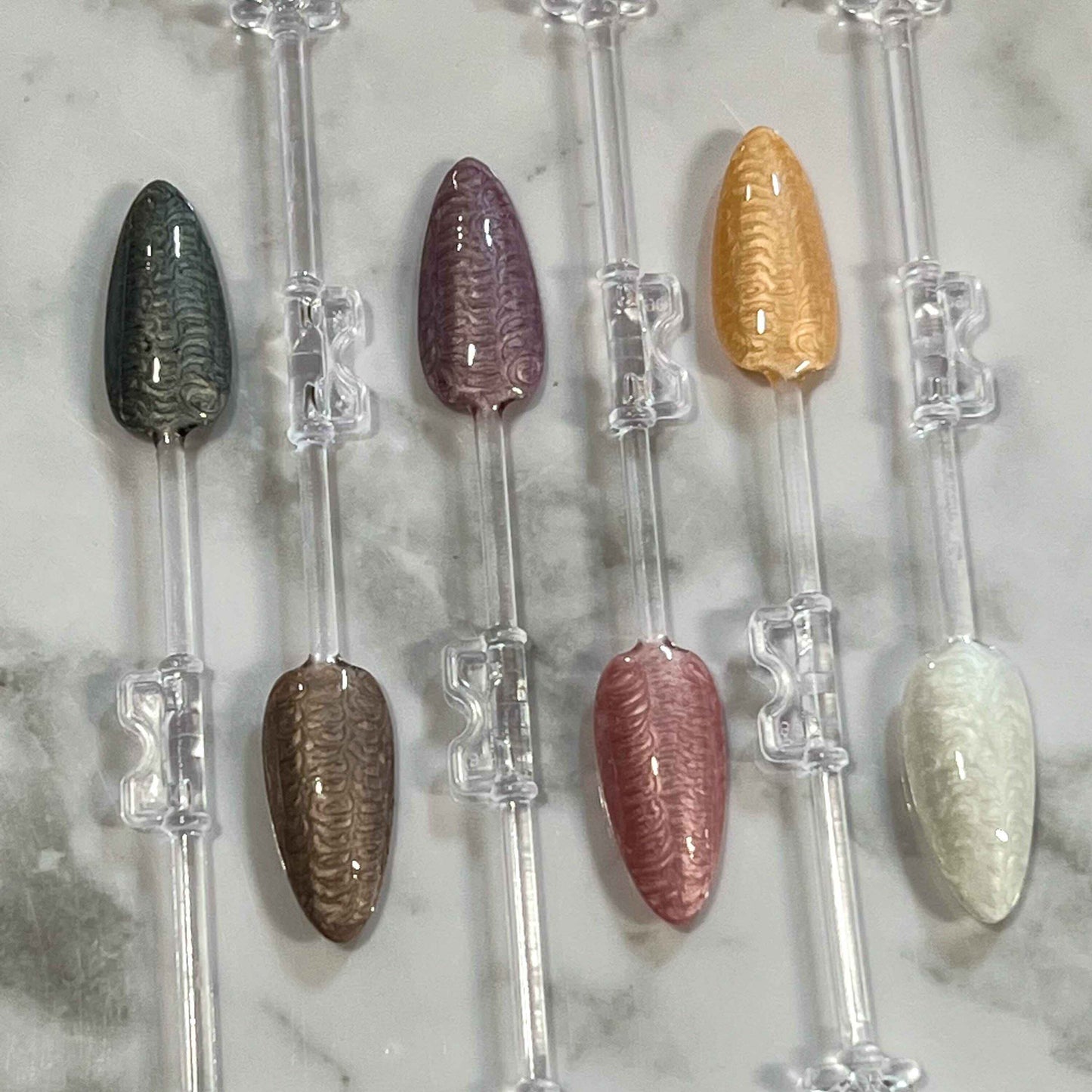 Shell Polish Collection