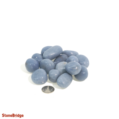 Angelite Tumbled Stones
