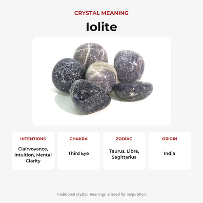 Iolite Tumbled Stones - India