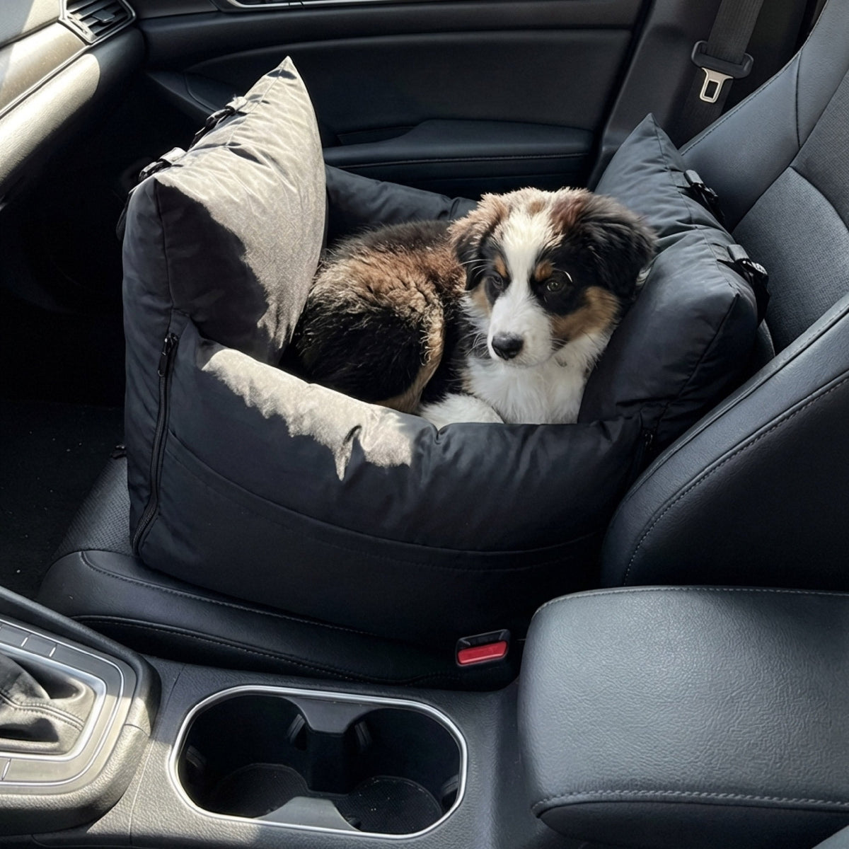 marco travel pet bed