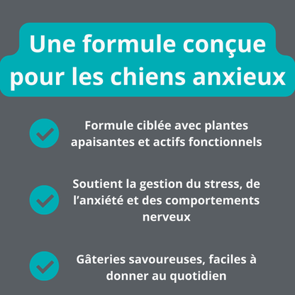 Gâterie calmante pour chien