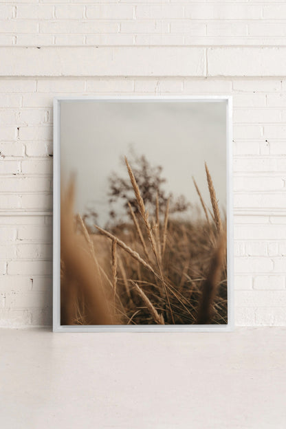 WHEAT, Stretched canvas artwork