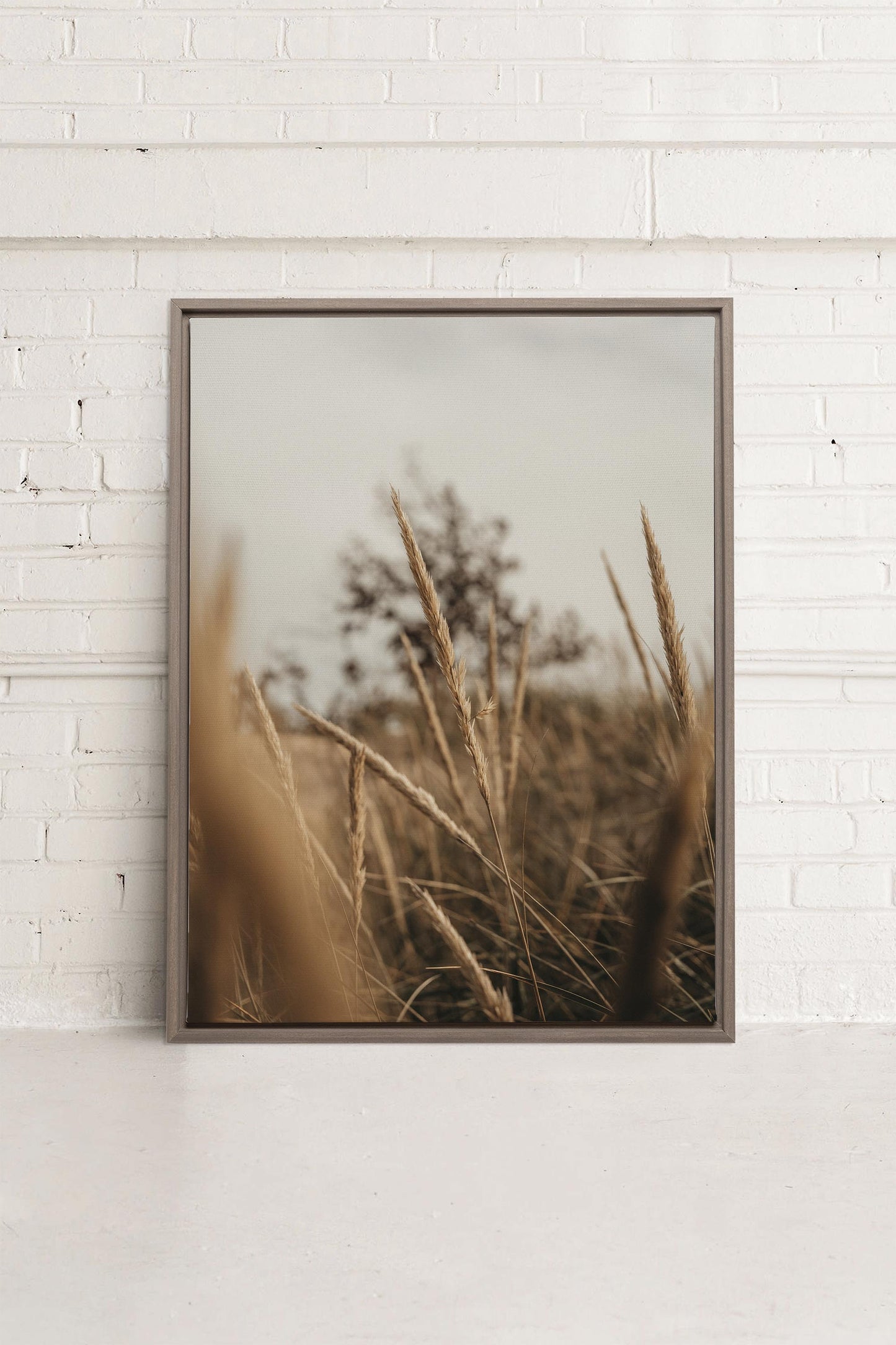 WHEAT, Stretched canvas artwork