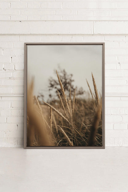 WHEAT, Stretched canvas artwork