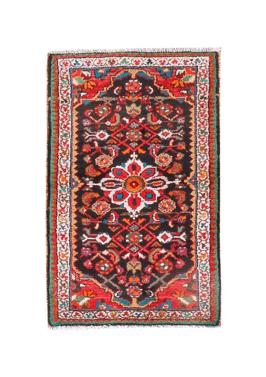 Persian Hamedan Rug | 2' 2” x 3' 5"