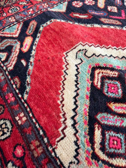 Persian Hamedan Rug | 3' 11" x 7' 1"