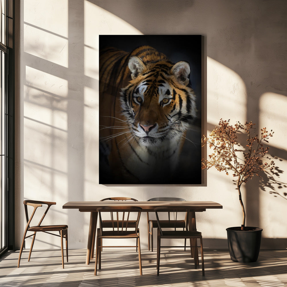 Wandbild Portrait eines Sibirischen Tigers