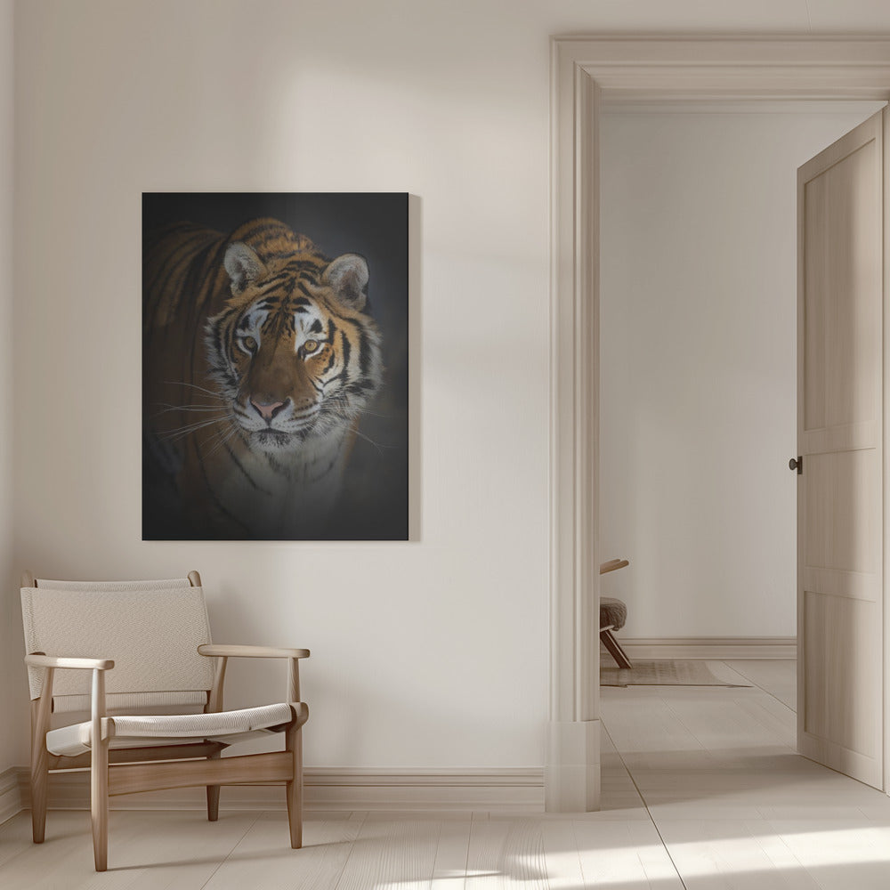 Wandbild Portrait eines Sibirischen Tigers