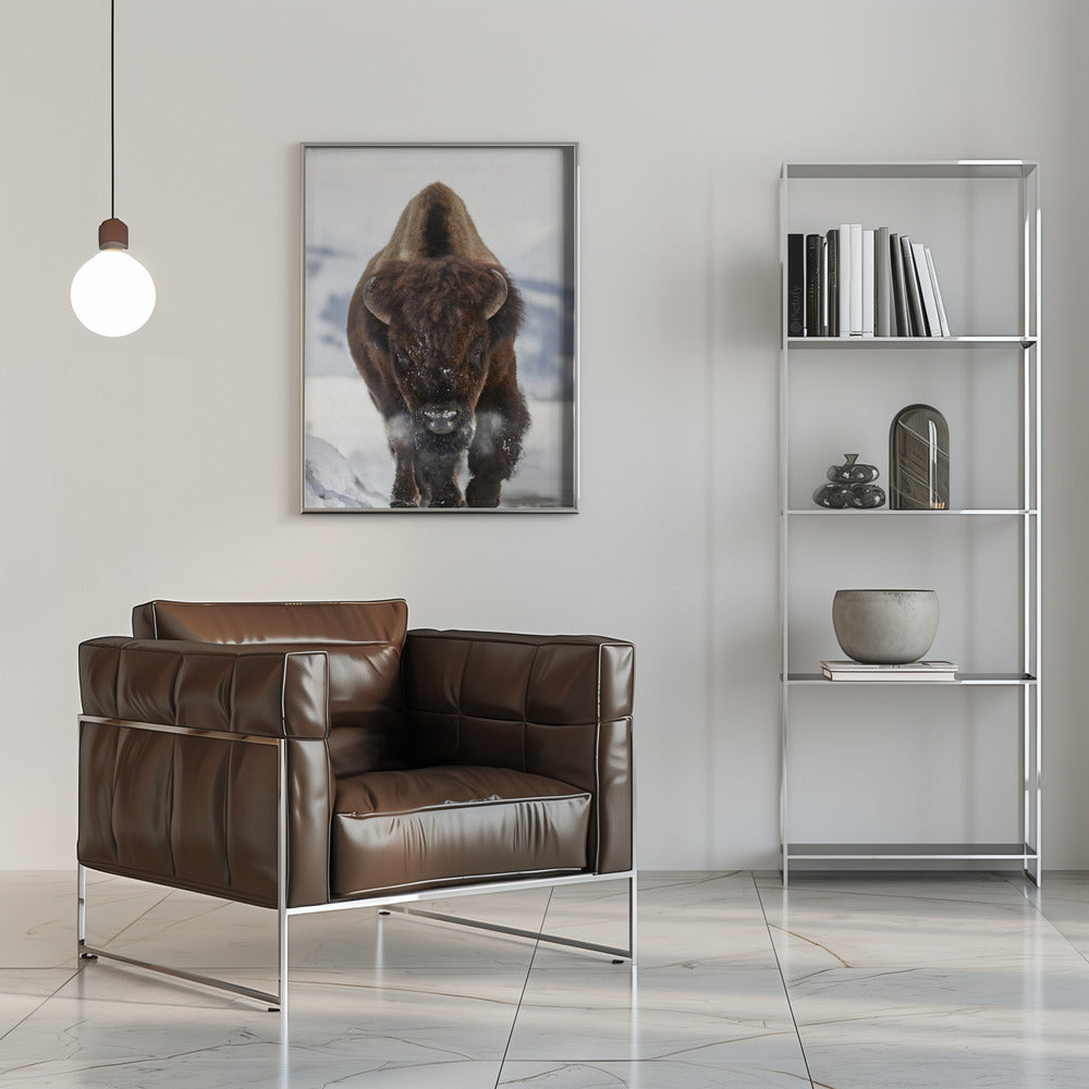 Wall Art Bison Incoming